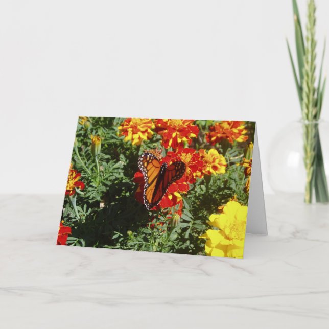 Carte de vœux de rétablissement "Papillonnant" (Devant)