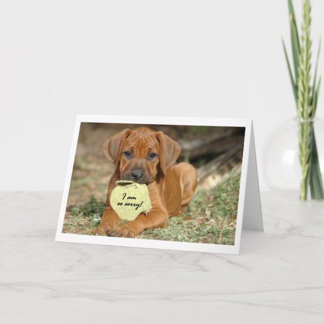 Carte de voeux de Rhodesian Ridgeback - je suis (Devant)