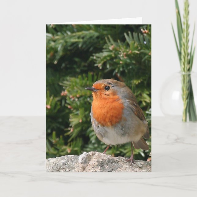 Carte de voeux de Robin de Noël (Devant)