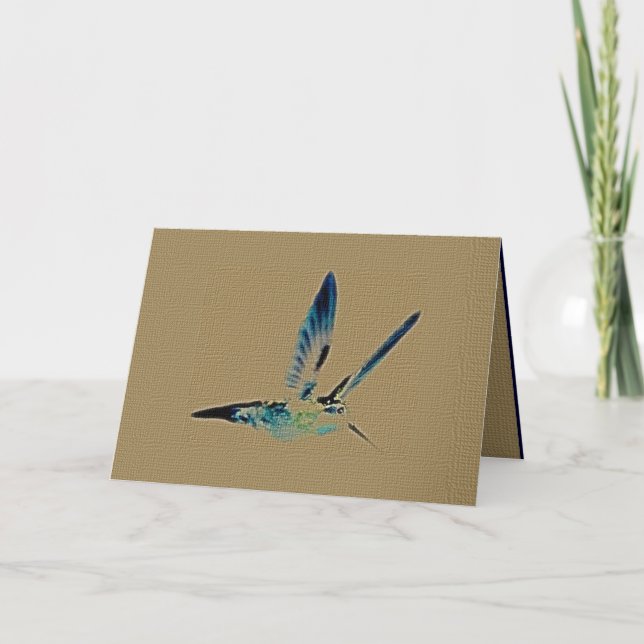 Carte de voeux de roi colibri (Devant)
