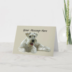 Carte de voeux de Schnauzer miniature