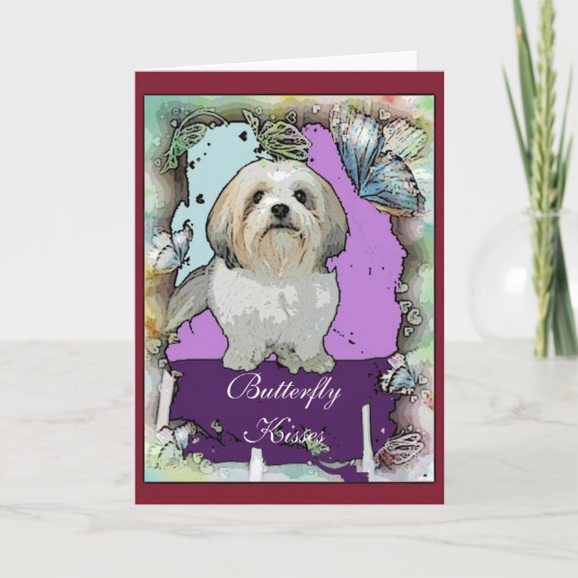 Carte de voeux de Shih Tzu (Devant)