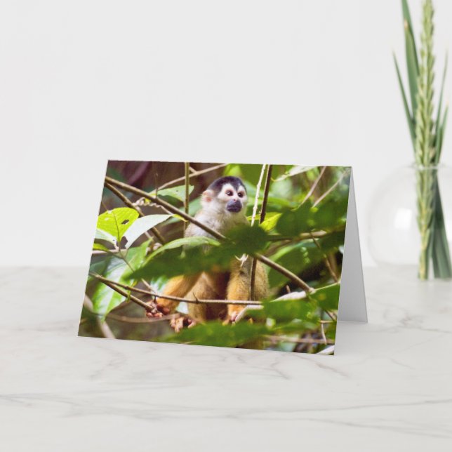 Carte de voeux de singe écureuil (Devant)