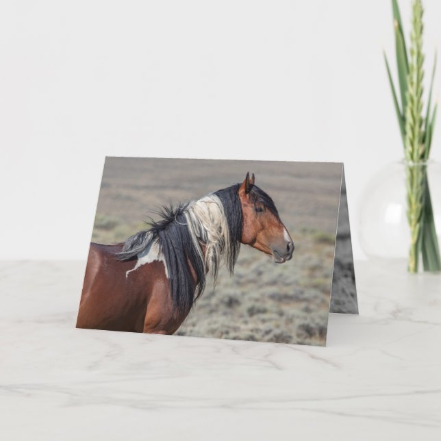 Carte de voeux de Stallion peint avec fierté (Devant)