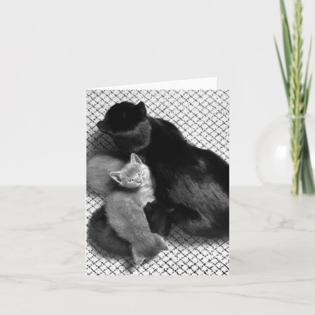 Carte de voeux de Sweetpea (Devant)