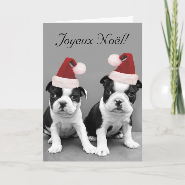 Carte de voeux de terriers de Joyeux Noël Boston (Devant)