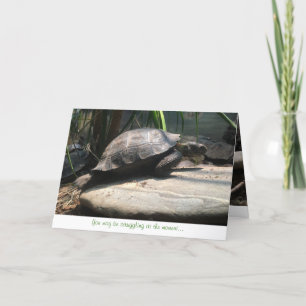 carte de voeux de tortue de bébé (encouragement)