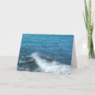 carte de voeux de tortue (encouragement)