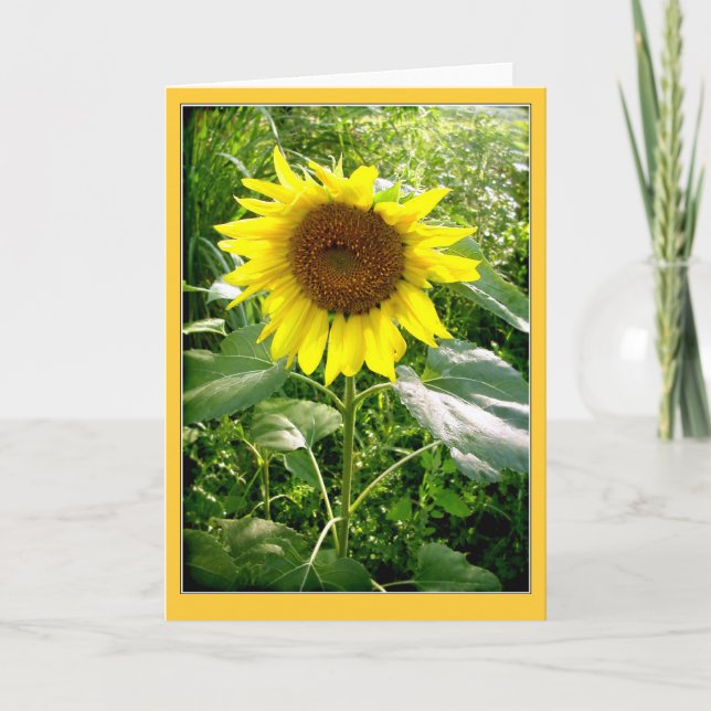 Carte de voeux de tournesol (Devant)