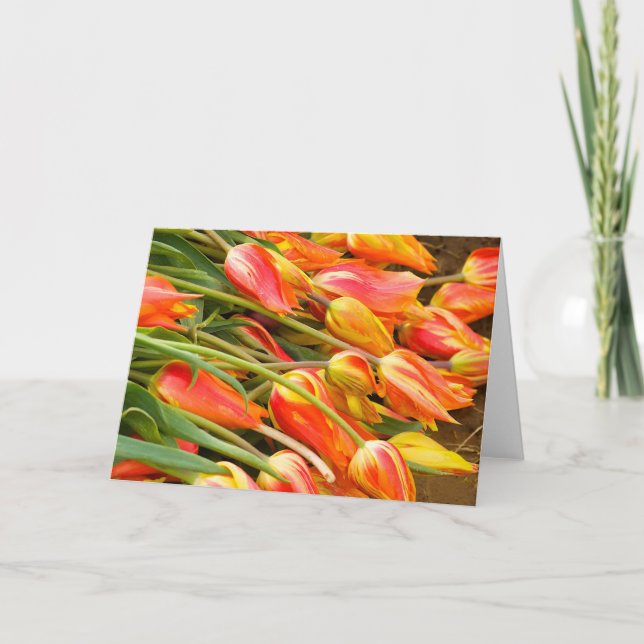 Carte de voeux de tulipe (Devant)