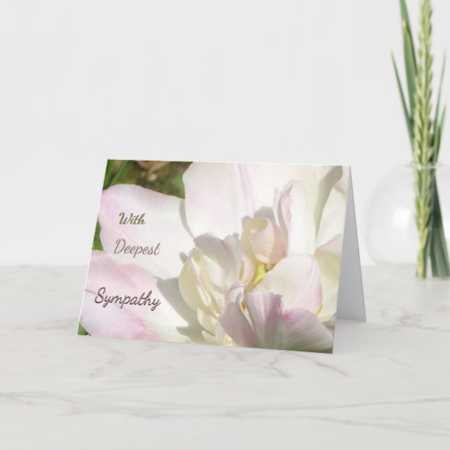 Carte de voeux de Tulipe rose blanc (Devant)