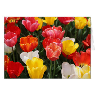Carte de voeux de tulipes