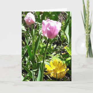 Carte de voeux de tulipes