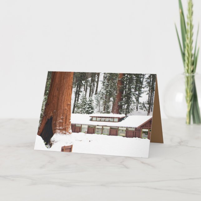Carte de voeux de vacances avec Redwoods enneigé (Devant)