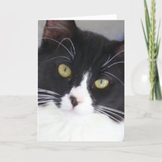 Carte de voeux de visage de chat de smoking