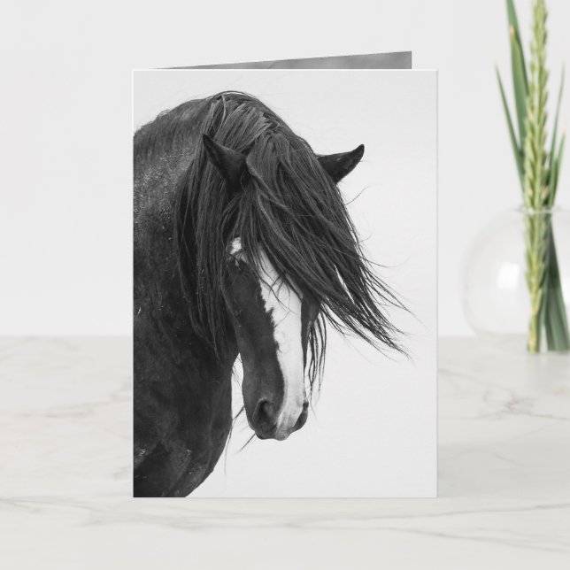 Carte de voeux de Washakie's Portrait Wild Horse (Devant)