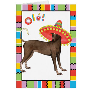 Carte de voeux de Xolo de fiesta