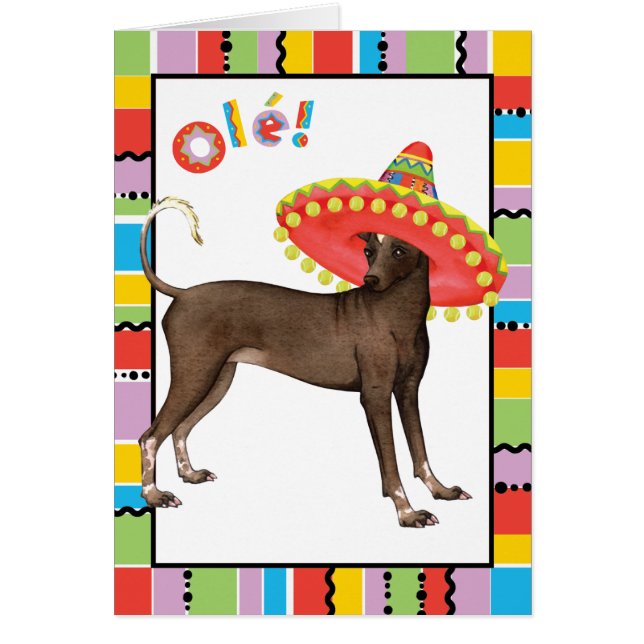 Carte de voeux de Xolo de fiesta (Devant)