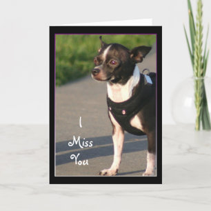 Carte de voeux de You Miss Chihuahua