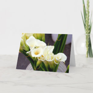 carte de voeux de zantedeschia