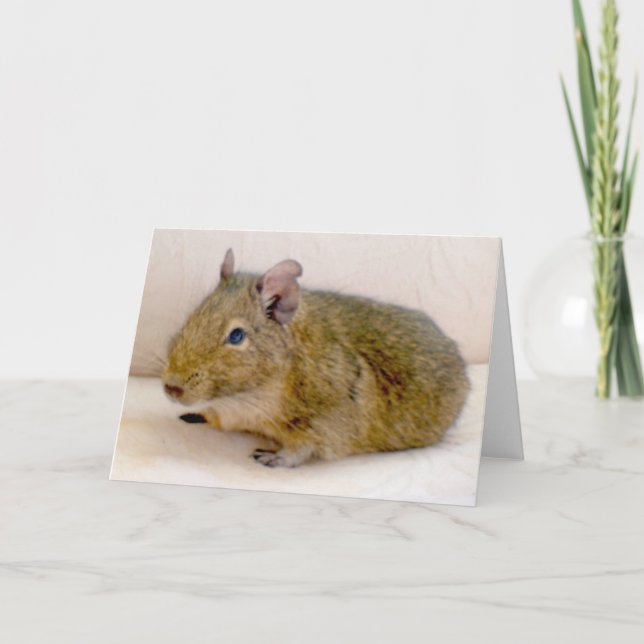 Carte de voeux Degu (Devant)