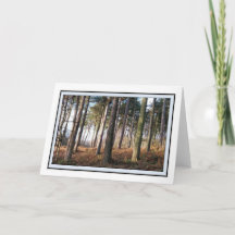 Carte de voeux Delamere Forest