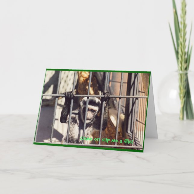 Carte de voeux des bars à singes (Devant)