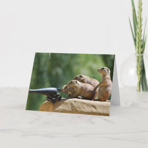 Carte de voeux des soldats de chiens des Prairies