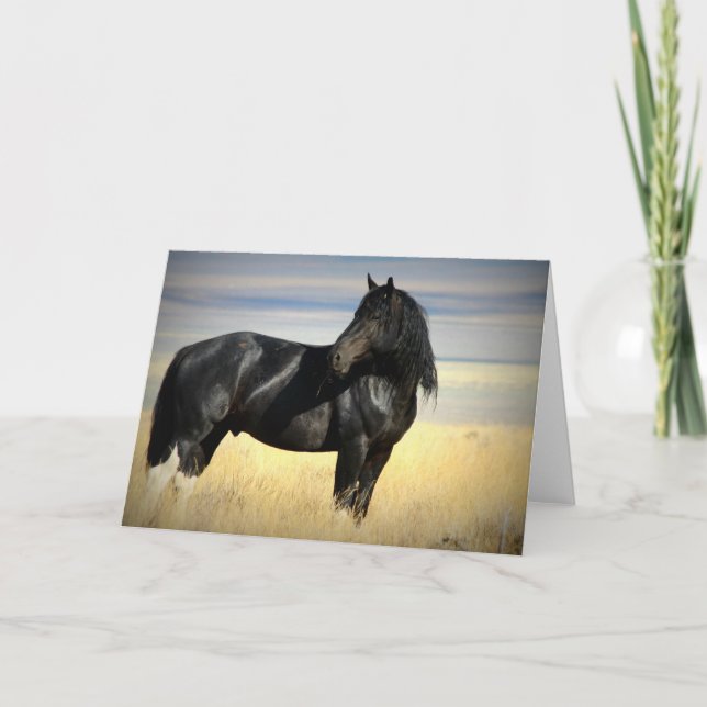 Carte de voeux d'étalon de mustang (Devant)