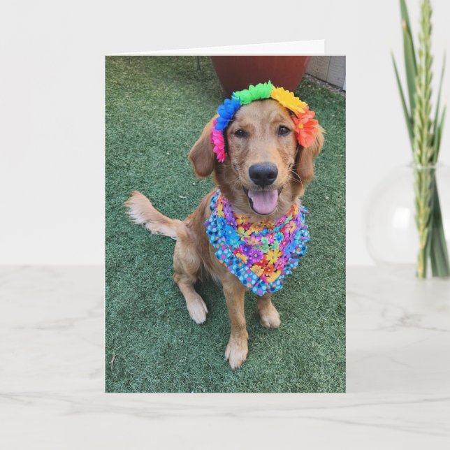 Carte de voeux d'été Golden Retriever (Devant)