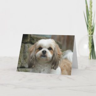 Carte de voeux d'humour d'animal familier "hors