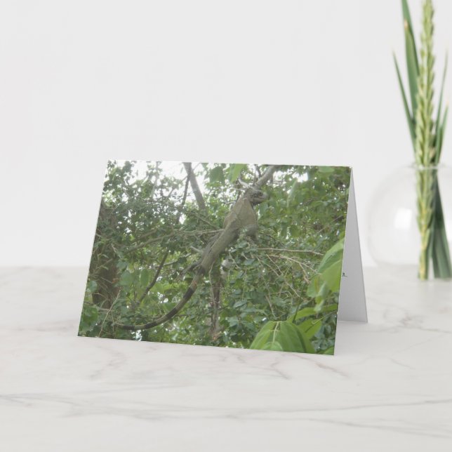 carte de voeux d'iguane (amincissant la version) (Devant)