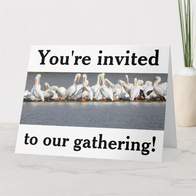 Carte de voeux d'invitation, Pélicans (Devant)