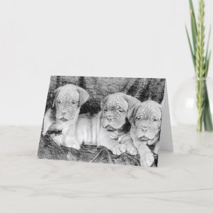 Carte de voeux Dogue de bordeaux