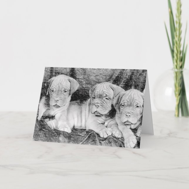 Carte de voeux Dogue de bordeaux (Devant)