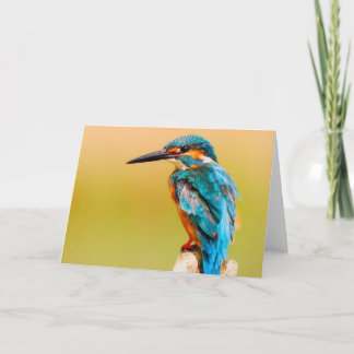 Carte de voeux d'oiseau de martin-pêcheur