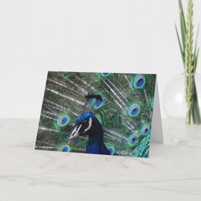 Carte de voeux d'oiseau de paon (Devant)