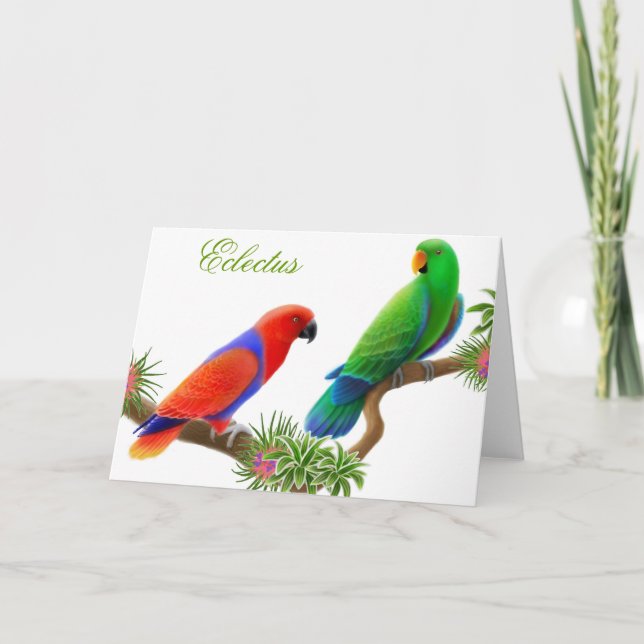 Carte de voeux d'oiseaux d'Eclectus (Devant)