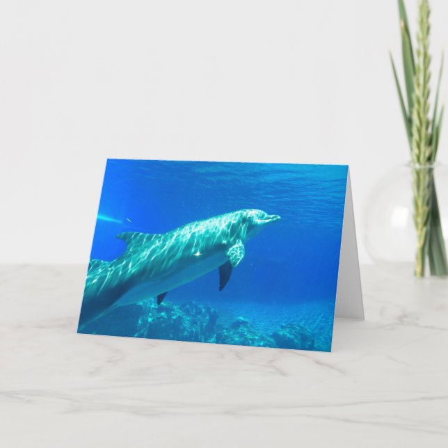 Carte de voeux Dolphin (Devant)