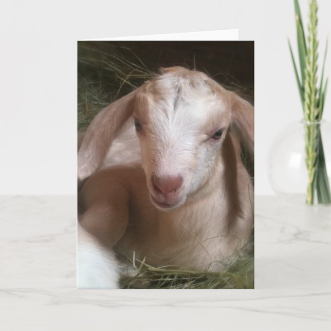Carte de voeux d'or d'enfant de chèvre (Devant)