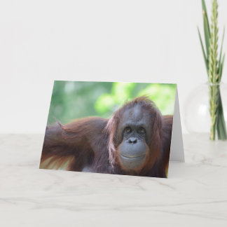 Carte de voeux d'orang-outan