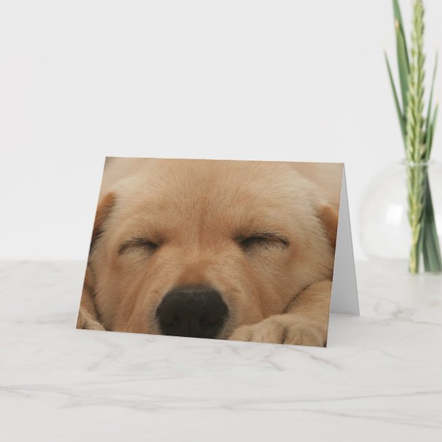 Carte de voeux dormant Golden Retriever (Devant)