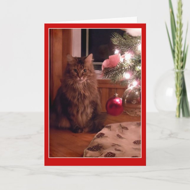 Carte de voeux d'ornements d'arbre de chat et de (Devant)
