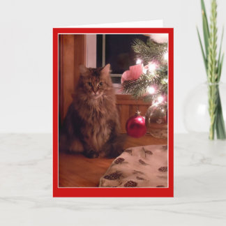 Carte de voeux d'ornements d'arbre de chat et de