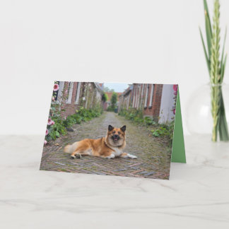 Carte de vœux double