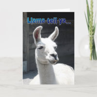 Carte de vœux drôle d'anniversaire de lama heureux