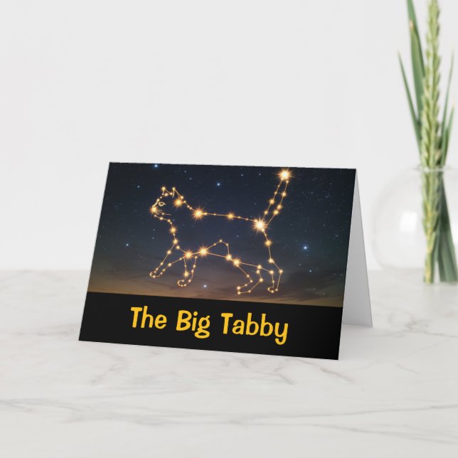 Carte de vœux drôle de constellation de chat (Devant)
