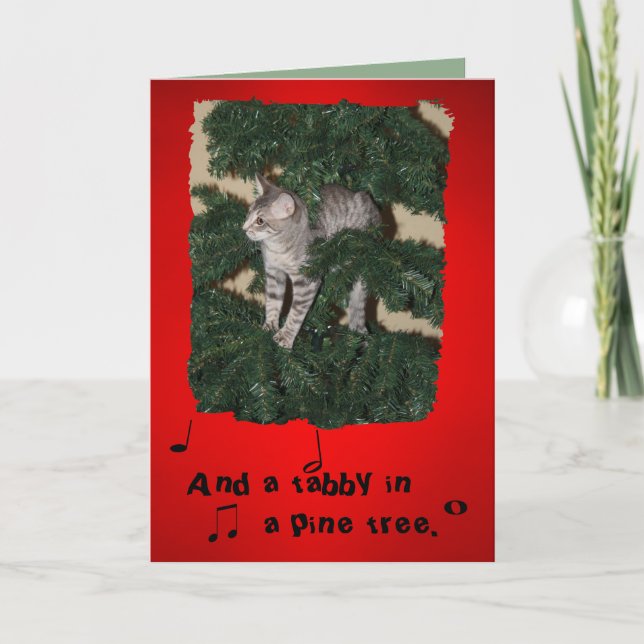 Carte de voeux drôle de Noël de chat (Devant)