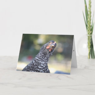 Carte de voeux drôle de poulet