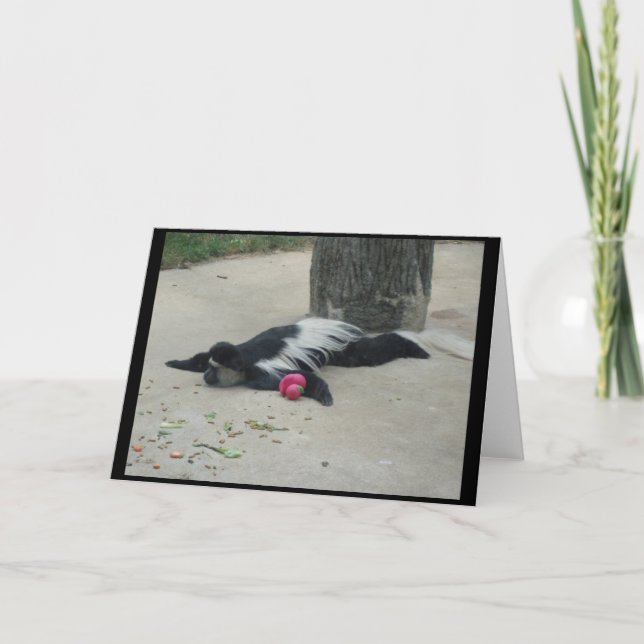 Carte de voeux drôle de singe (Devant)